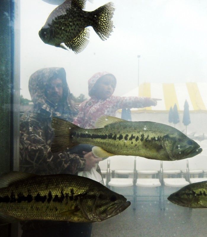 092415-spt-otd-huntfish-rogers-largemouthbass-2011.jpg